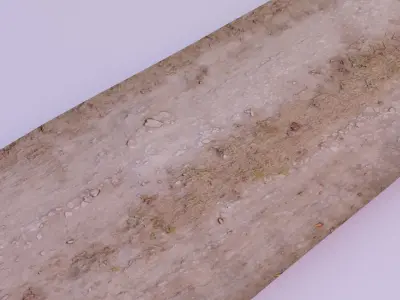 Country road scan Low-poly 3D model