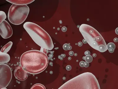 Animated Blood Vessels Segment 3D model