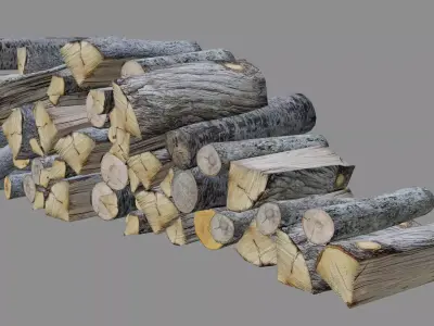 Wood logs Low-poly 3D model