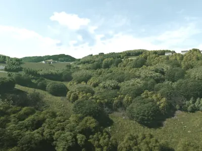 Solitary Farm - Typical Cultural Landscape 3D model