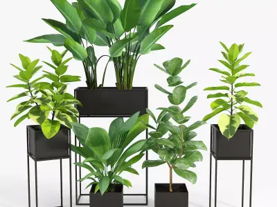 Three Black Standing Planters 3D model