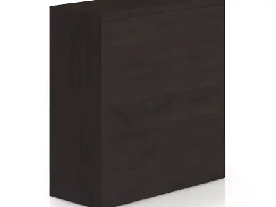 Black Wood Cabinet with Doors 3D model