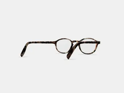 Caswell Eyeglasses in Biscotti Tortoise 3D model