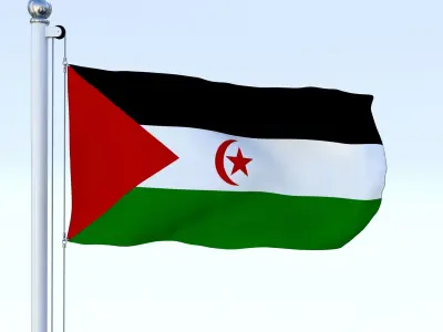 Animated Western Sahara Flag Low-poly 3D model
