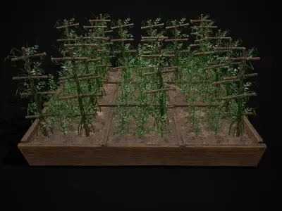 Square Planting Plot with Peas Low-poly 3D model