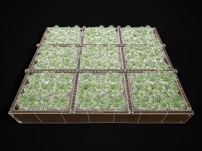 Square Planting Plot with Lettuce  Low-poly 3D model