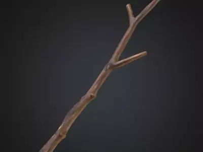 Realistic Branch Texture