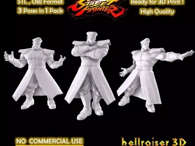 Street Fighter - M Bison 3D print model
