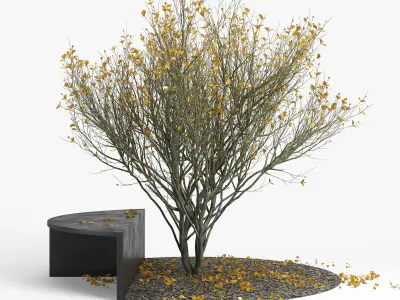 Autumn cactus on bench 3D model