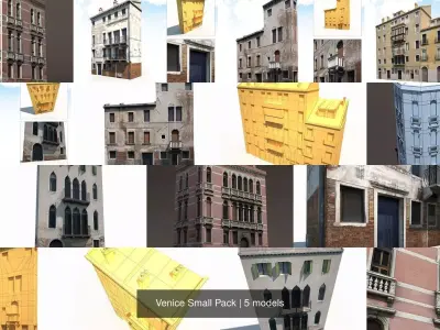 Venice Small Pack