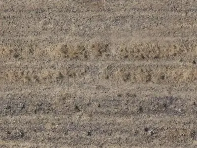 Dry Grass Ground Texture Seamless PBR Texture