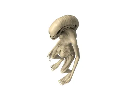 Alien Newborn 3D model