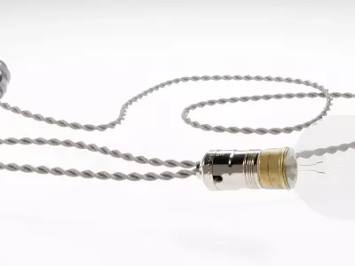 Old Nickeled Brass light bulb socket light bulb and power plug 3D model