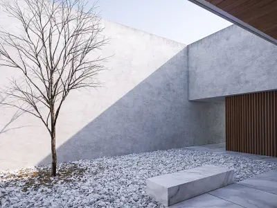 Rough plaster wall texture Texture