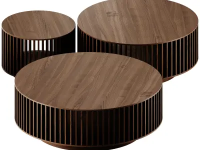 Fondu Giostra Coffee Tables 3D model
