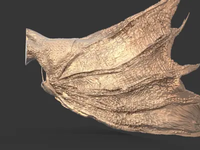 Arch Angel And Arch Dragon wings  3D print model