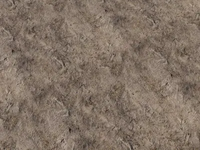 Dry Mud with Straw Scuffs Texture