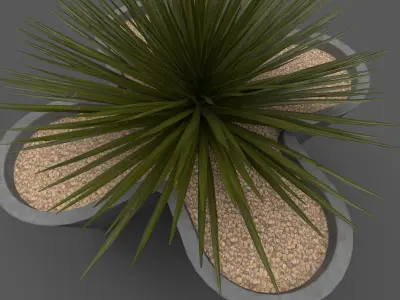 Planter with Yucca Low-poly 3D model