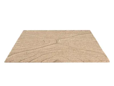 TARRAS WOOL RUG B 3D model