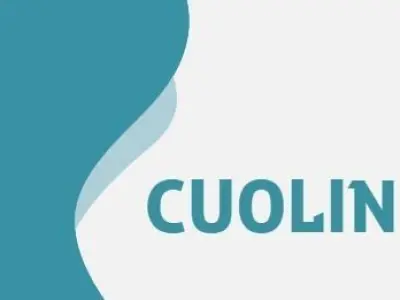Cuoling FMC 750 Cooler 3D model