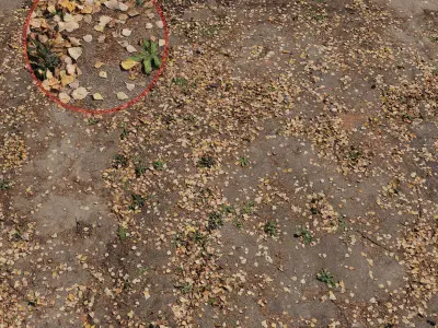 Ground autumn scan 2 3D model