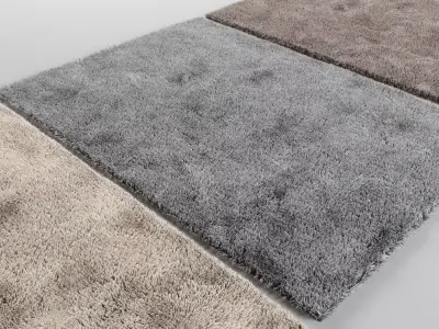 Carpet shaggy rug 3D model