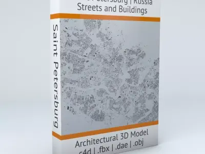 Saint Petersburg Streets and Buildings 3D model
