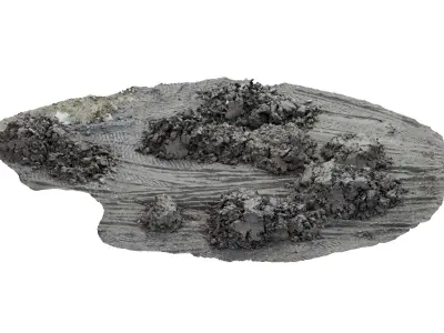 Dirt Construction Site Scan 3D model