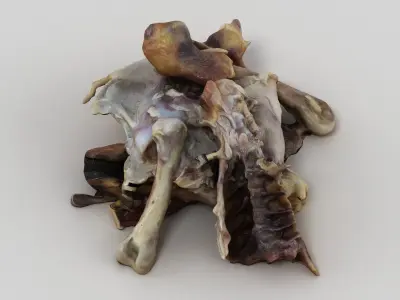 Chicken Bones Carcass 3D model