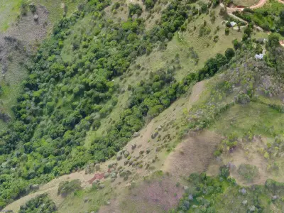 Cotton Farm 15 05 2021 Low-poly 3D model