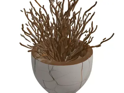 Dried Bush Plant in Cracked Pot Low-poly 3D model