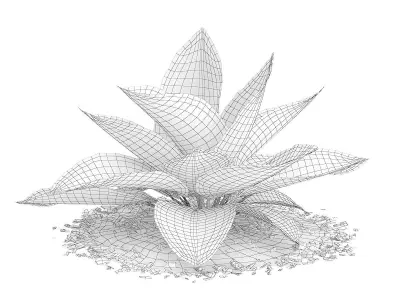 Hosta Plant Hosta kiyosumiensis 3D model