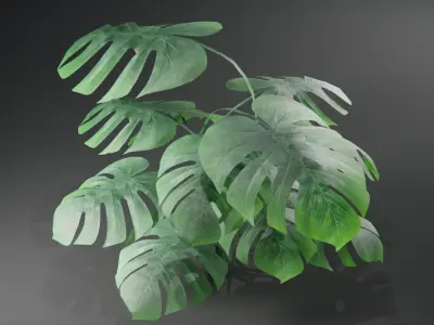  Tropical plants collection Low-poly 3D model