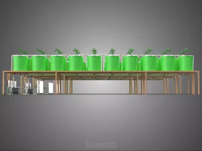 DUTCH BUCKET HYDROPONIC CROP PLANT FACTORY GREENHOUSE PRODUCTION 3D model