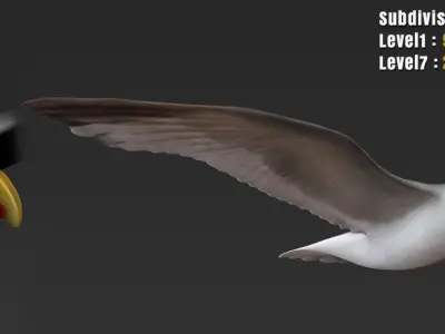  HIGH DETAILED SEAGULL 3D MODEL FULLY RIGGED &amp; ANIMATED 