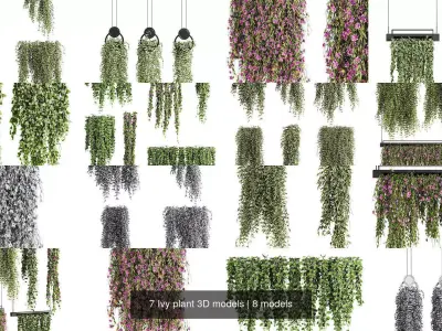 7 Ivy plant 3D models 3D Model Pack