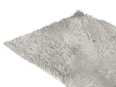 Carpet 3D model