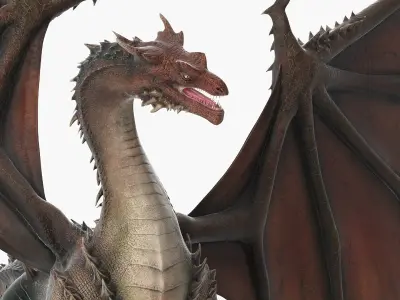 Fantasy Dragon Creature and Skeleton Rigged Collection 3D model