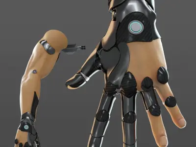 FPS hand anatomy mechanical 04 3D model