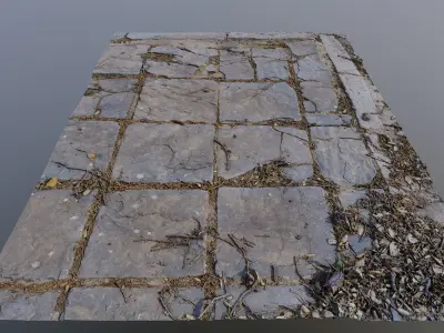 Tilescan02 stone floor with cracks in it 3D model