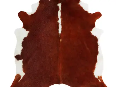 Hereford Cowhide Rug by Hudson Hides 3D model