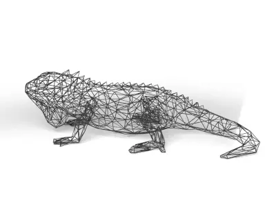 Iguana Wireframe Low-poly 3D model