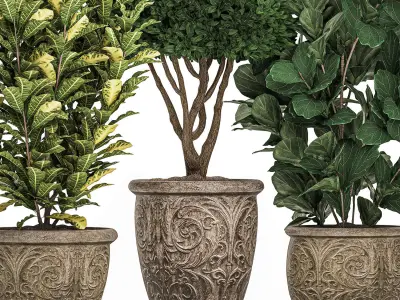 Trees in classic flowerpots for the street parks and garden 493 3D model