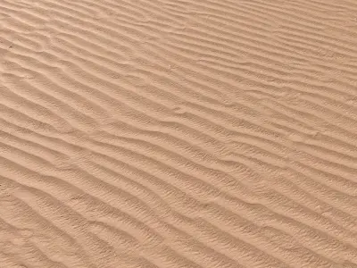 Sand Beach 05 PBR Low-poly 3D model