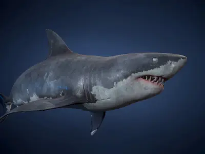 Great White Shark - Game Ready Low-poly 3D model