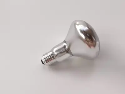 Reflector Light Bulb 3D model