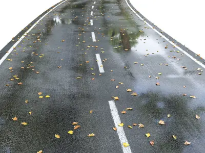 Wet road with markings 3D model