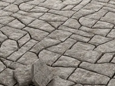 Paving stone old 3D model purchase