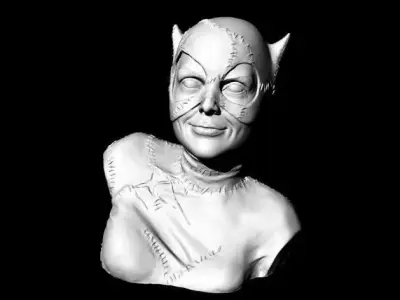 Catwoman Buste 3D print model