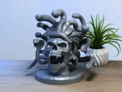 Medusa snake skull bust 3D print model